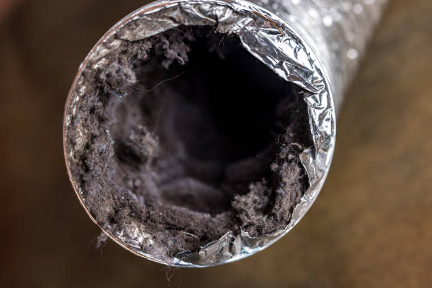 Best HVAC Air Duct Cleaning  in Reinholds, PA
